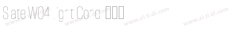 Slate W04 Light Cond字体转换